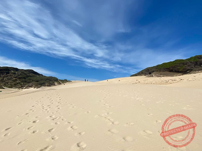 Duna de la playa de Bolonia