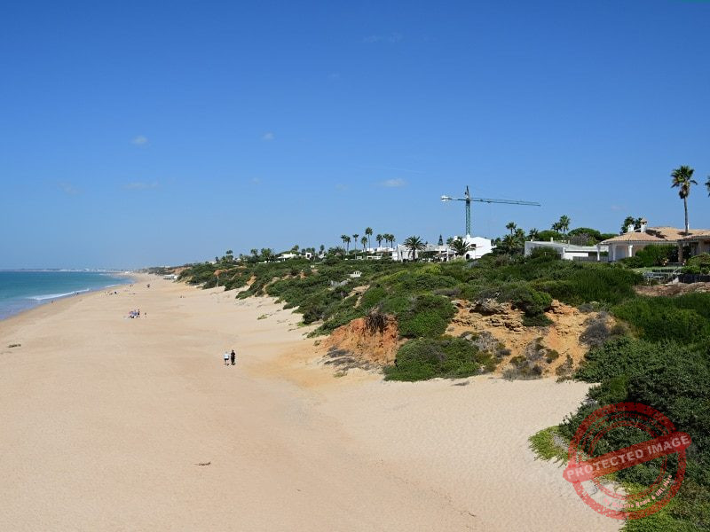 Naturaleza de la playa de Roche