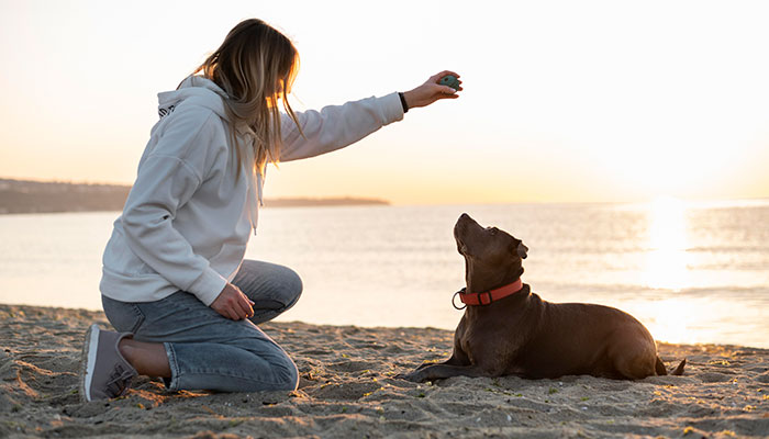 Playas en Conil para perros
