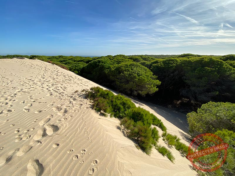 Vistas desde la duna de Bolonia